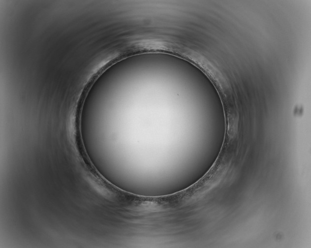 X0000103170390200808221239