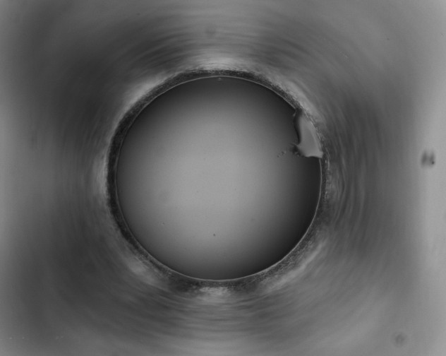 X0000103170391200808221239