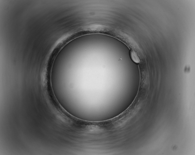 X0000103170392200808221239