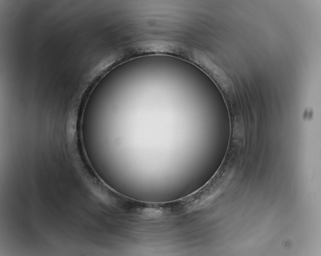 X0000103170394200808221239