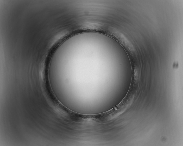 X0000103170396200808221239