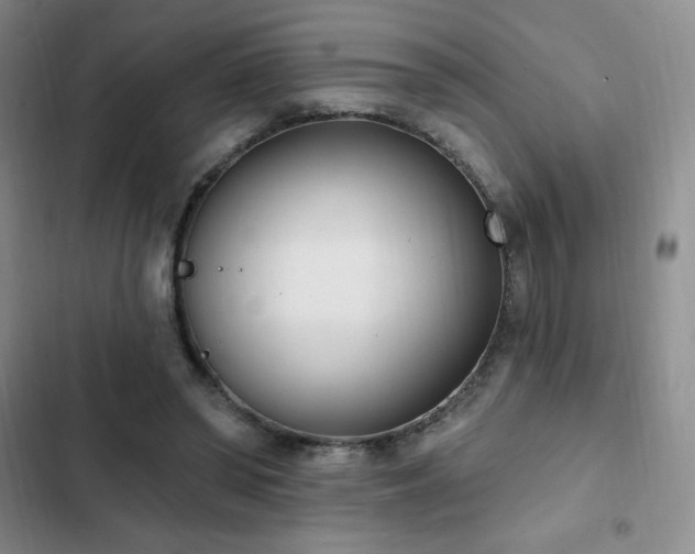 X0000103170398200808221239