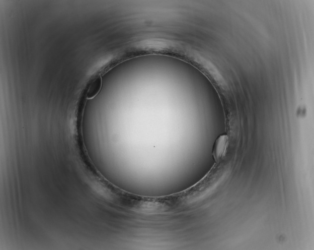 X0000103170399200808221239