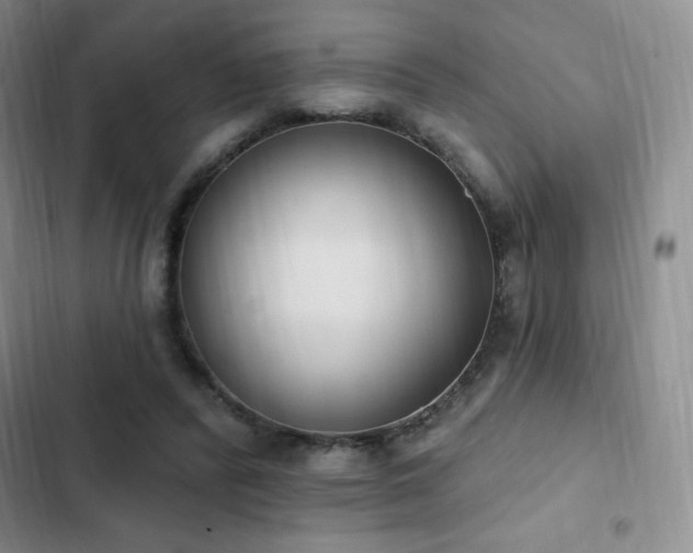 X0000103170400200808221239