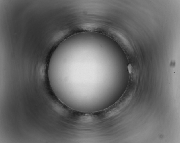 X0000103170404200808221239