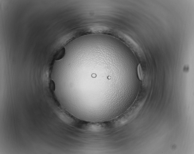 X0000103170405200808221239