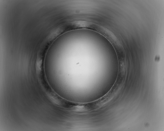 X0000103170406200808221239