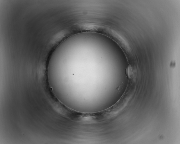 X0000103170407200808221239