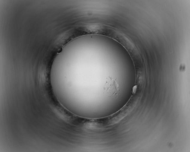 X0000103170408200808221239