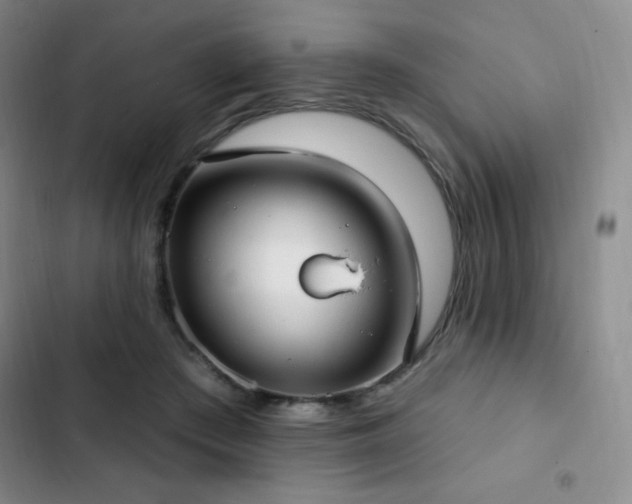 X0000103170409200808221239