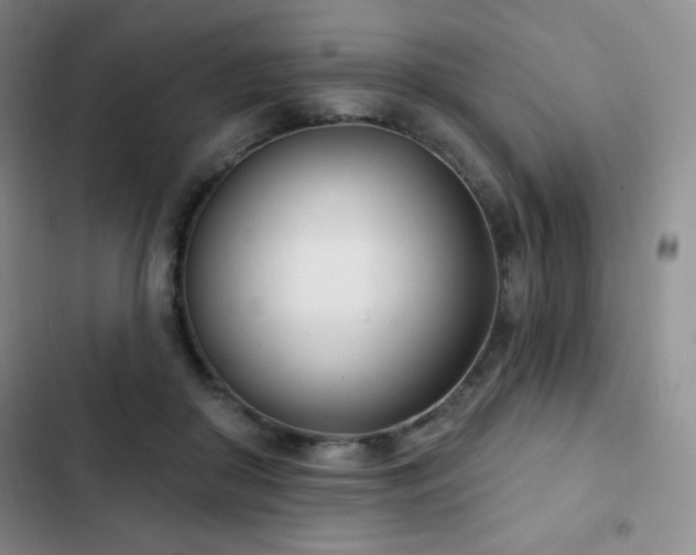 X0000103170410200808221239