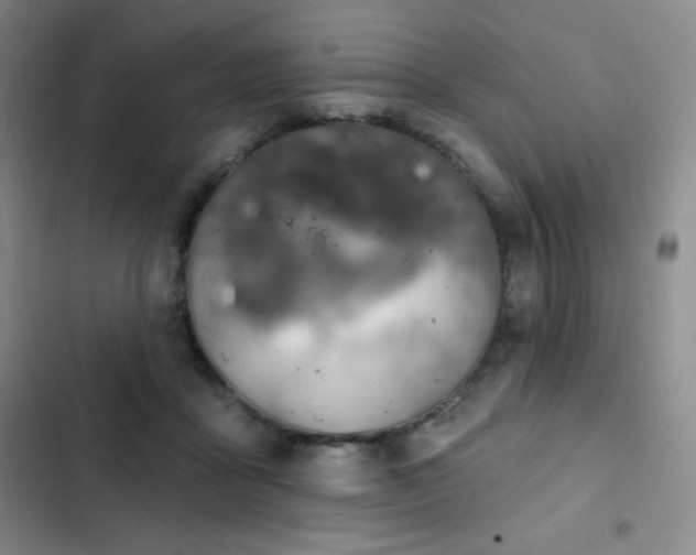 X0000103170411200808221239