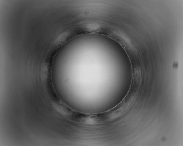 X0000103170412200808221239