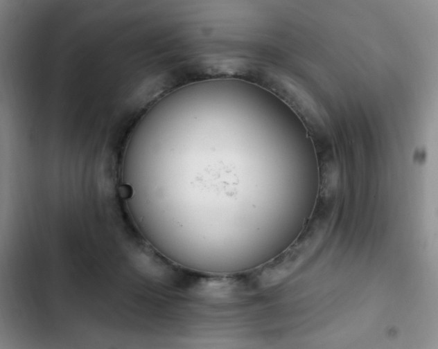 X0000103170414200808221239