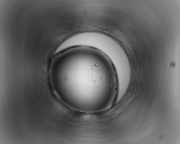 X0000103170415200808221239