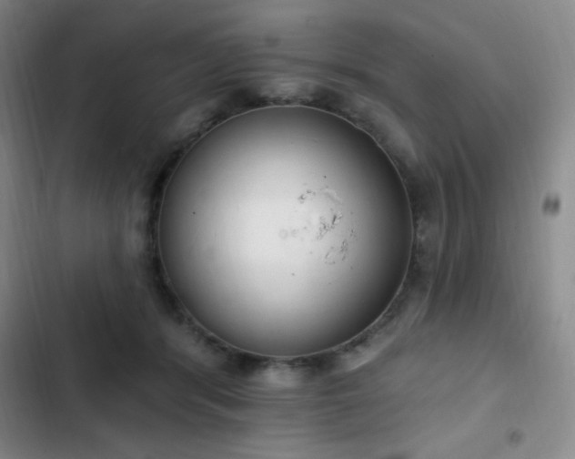 X0000103170416200808221239