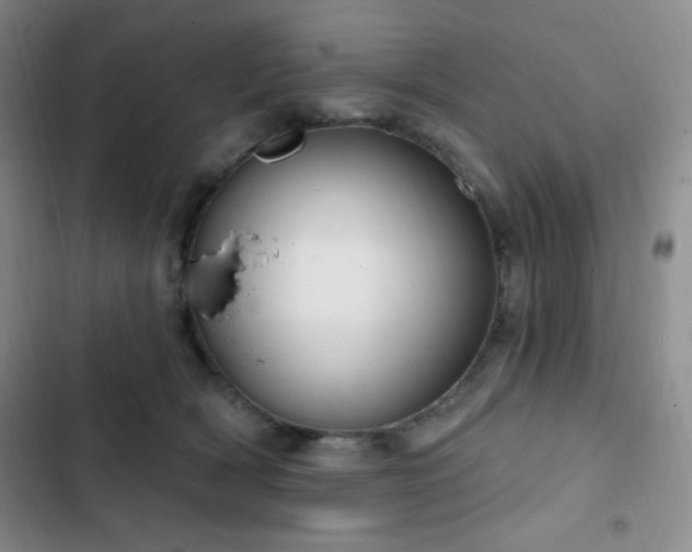 X0000103170418200808221239