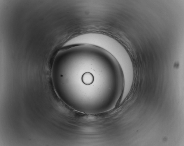 X0000103170419200808221239