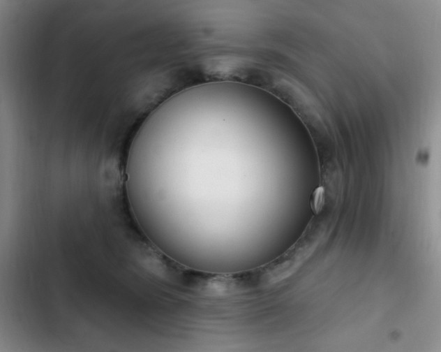 X0000103170420200808221239