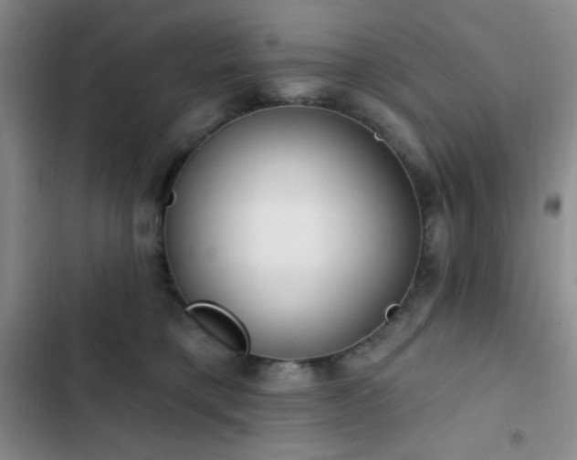 X0000103170421200808221239