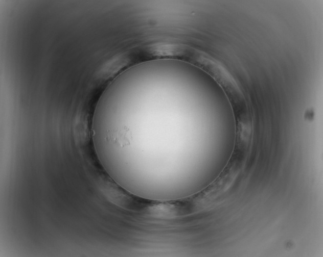 X0000103170422200808221239