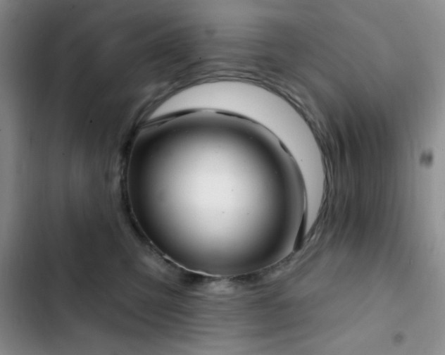 X0000103170423200808221239