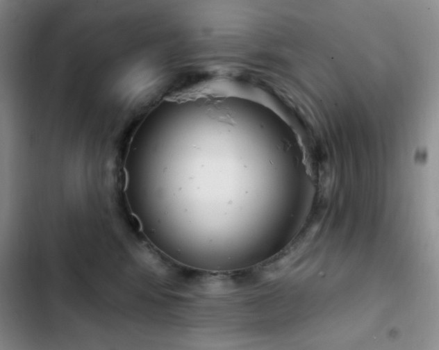 X0000103170424200808221239