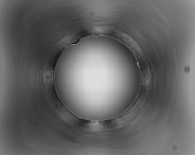 X0000103170425200808221239