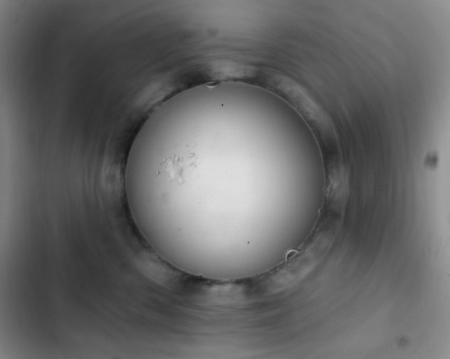 X0000103170426200808221239