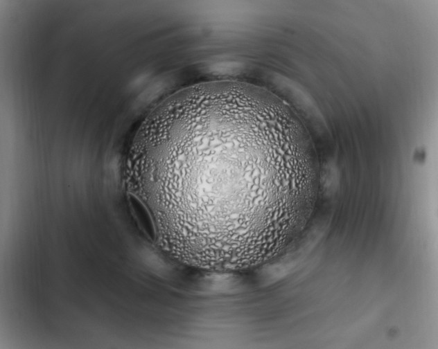 X0000103170428200808221239