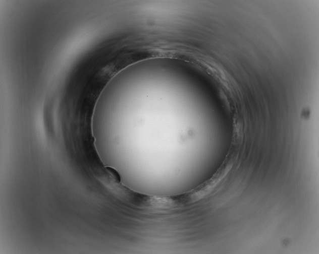 X0000103170429200808221239