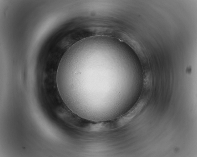 X0000103170430200808221239