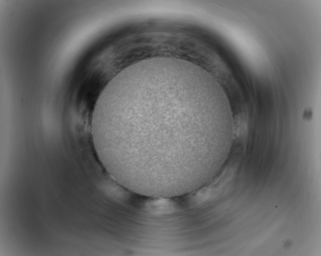 X0000103170431200808221239