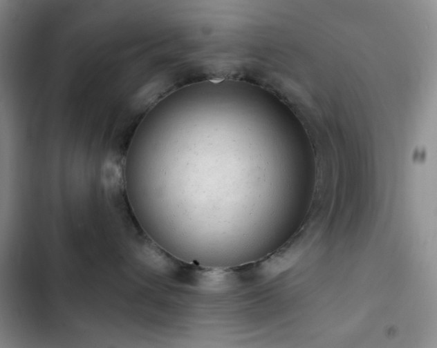 X0000103170432200808221239