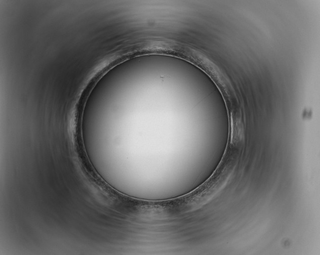 X0000103170435200808221238