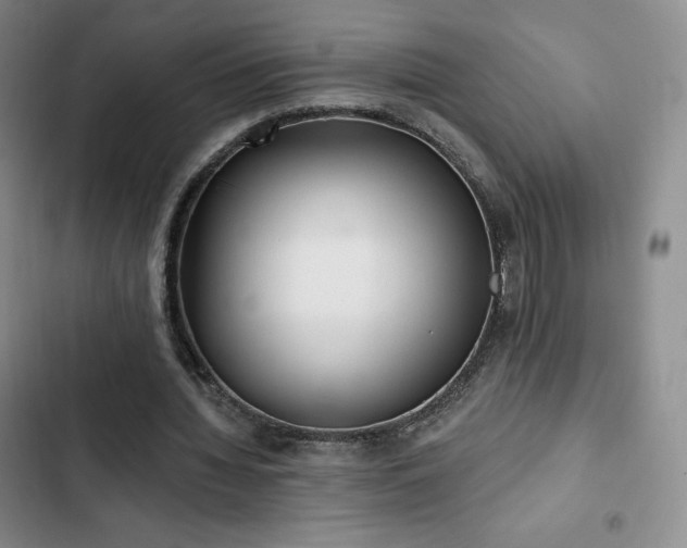 X0000103170436200808221238