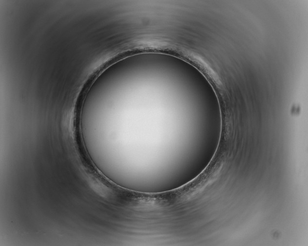 X0000103170439200808221238