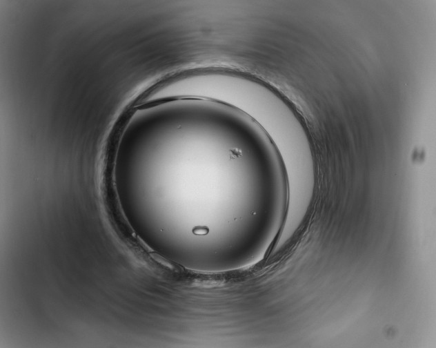 X0000103170440200808221238