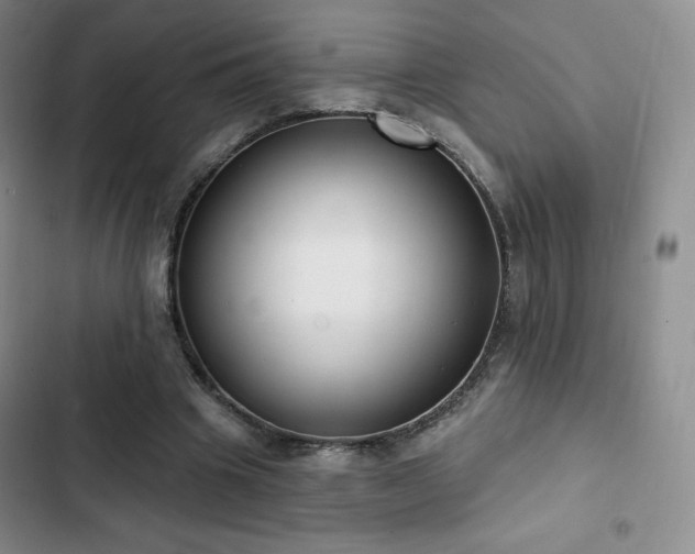 X0000103170441200808221238