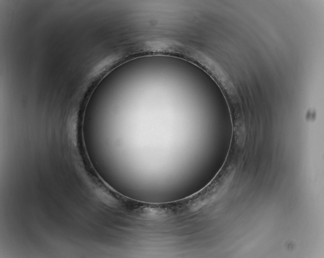 X0000103170442200808221238