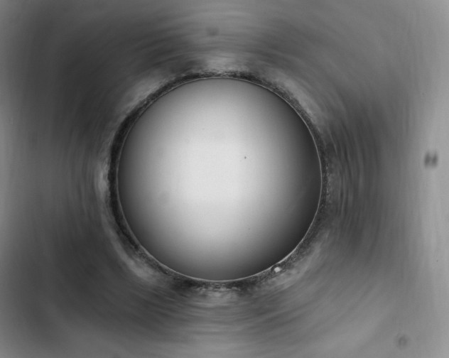 X0000103170443200808221238