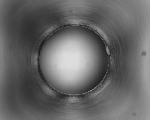 X0000103170445200808221238