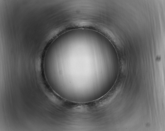 X0000103170447200808221238