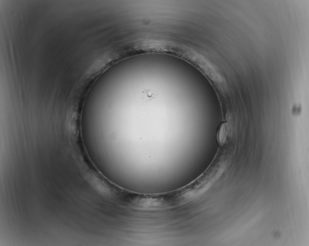 X0000103170449200808221238