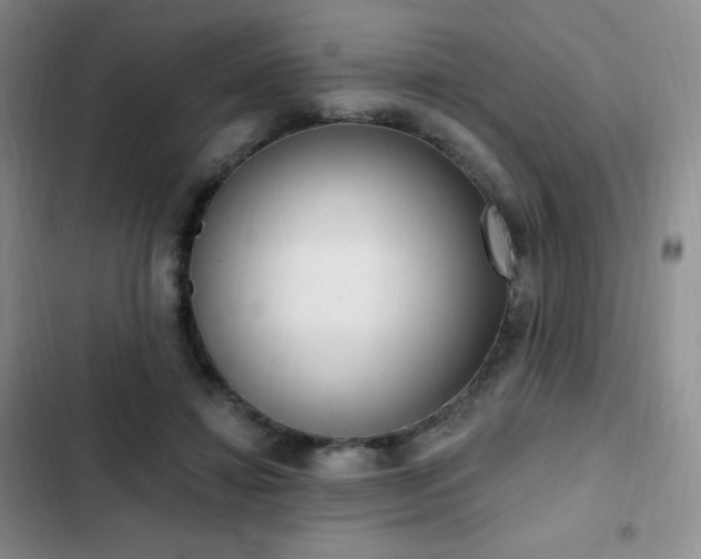 X0000103170452200808221238