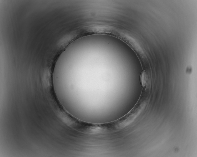 X0000103170453200808221238