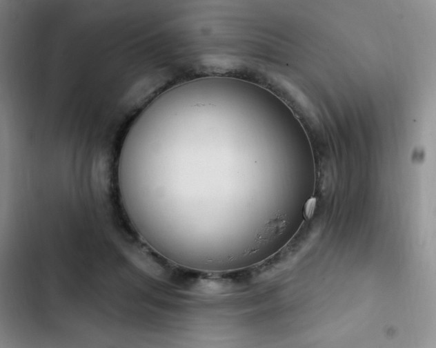 X0000103170455200808221238