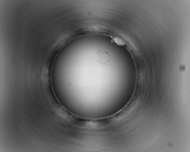 X0000103170457200808221238