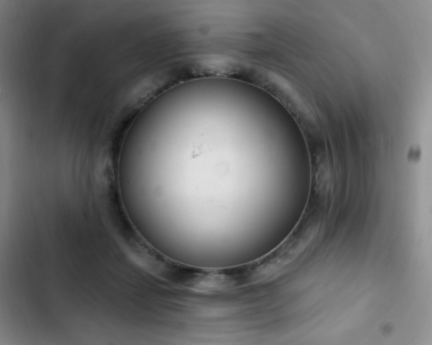 X0000103170459200808221238