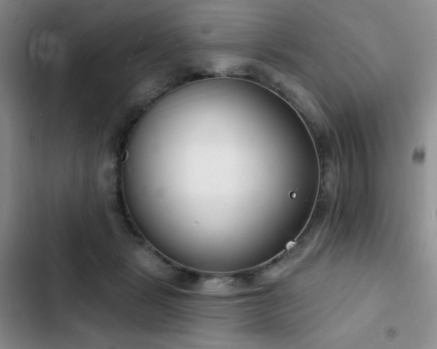 X0000103170461200808221238